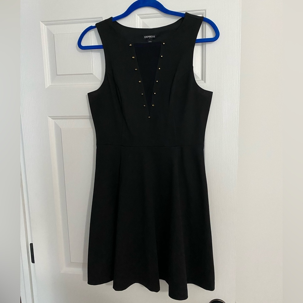 Express Black Mesh Front Skater Dress